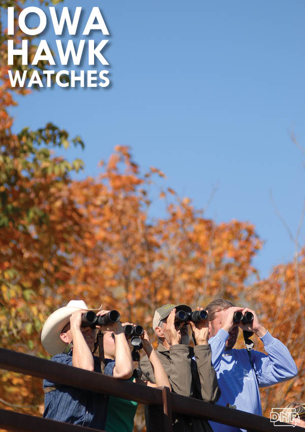 Fall is when birds of prey migrate. Attend a Hawk Watch Event to see and learn about fascinating raptors. | Iowa Outdoors magazine